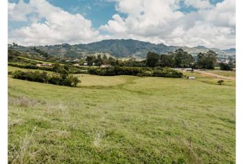 Lote de Terreno en  Abejorral, Antioquia