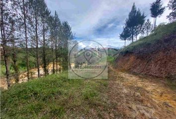 Lote de Terreno en  San Vicente, Antioquia