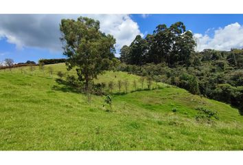 Lote de Terreno en  Las Palmas, Medellín