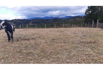 Lote de Terreno en  Centro, Popayán