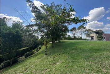 Lote de Terreno en  Calarcá, Quindío