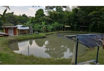 Casa en  Río Claro, Jamundí