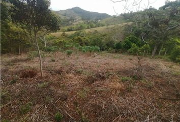 Lote de Terreno en  Pavitas, La Cumbre