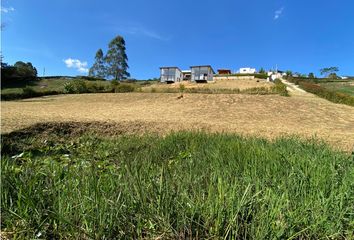 Lote de Terreno en  El Carmen De Viboral, Antioquia