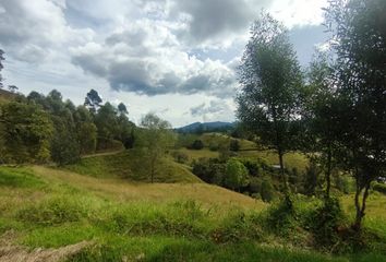 Lote de Terreno en  El Retiro, Antioquia