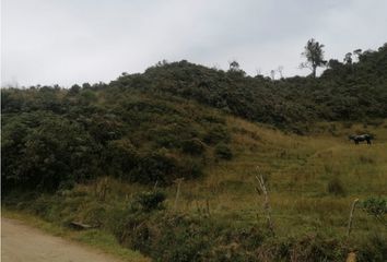 Villa-Quinta en  Concepción, Antioquia