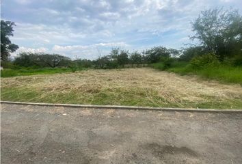 Lote de Terreno en  Campoalegre, El Cerrito Valle Del Cauca