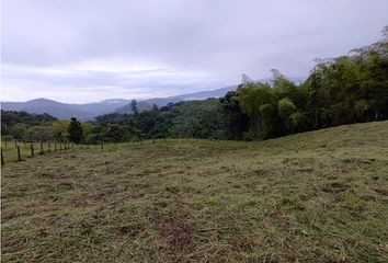 Lote de Terreno en  Kennedy, Pereira