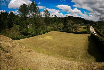 Lote de Terreno en  Rionegro Antioquía