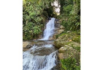 Lote de Terreno en  San Luis, Antioquia