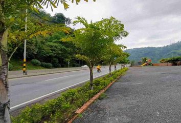 Local Comercial en  La Trinidad, Manizales