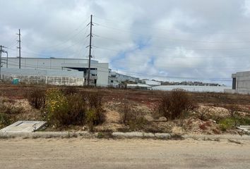 Lote de Terreno en  Circuito Amaranto, Tijuana, Baja California, 22525, Mex