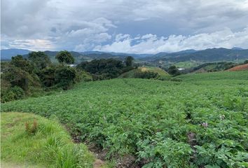 Lote de Terreno en  La Unión, Antioquia