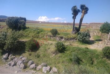 Lote de Terreno en  Cacalomacán, Toluca