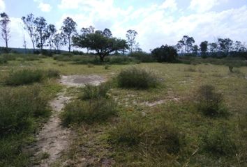 Lote de Terreno en  La Cruz, San Juan Del Río, San Juan Del Río, Querétaro