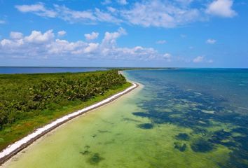 Lote de Terreno en  Camino A Punta Herrera, Othón P. Blanco, Quintana Roo, 77973, Mex