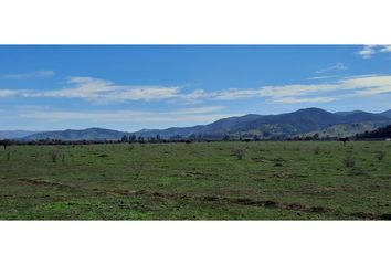 Parcela en  Peralillo, Colchagua