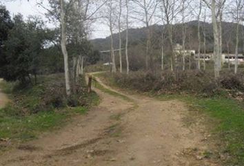 Terreno en  Santa Coloma De Farners, Girona Provincia