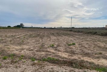 Terreno en  La Marina, Alicante Provincia