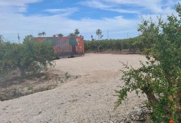 Terreno en  Elx/elche, Alicante Provincia