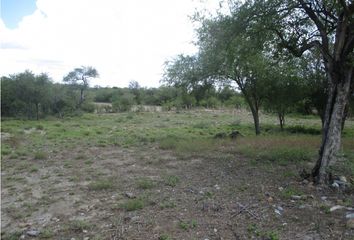 Lote de Terreno en  Cerralvo, Nuevo León