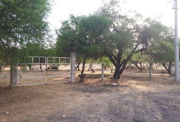Lote de Terreno en  Rancho O Rancheria Villa Juárez, Asientos