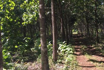 Lote de Terreno en  San Francisco De Campeche