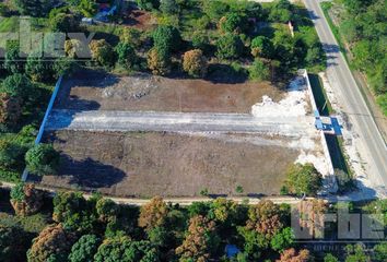 Lote de Terreno en  Barrio San Francisco, Municipio De Campeche