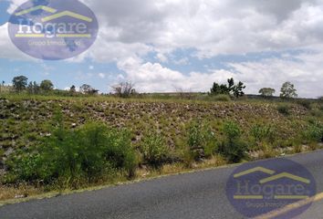 Lote de Terreno en  Rancho O Rancheria Cuestecita De San Juan, Ciudad De Guanajuato