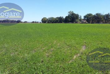 Lote de Terreno en  Rancho O Rancheria Capellanía De Loera, León