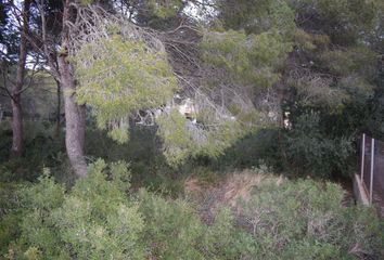 Terreno en  Can Toni, Tarragona Provincia