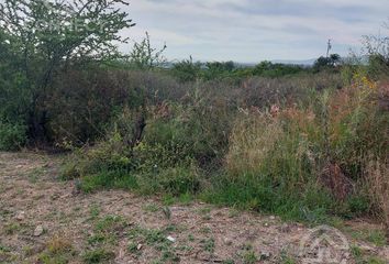 Lote de Terreno en  Romita Centro, Romita, Guanajuato