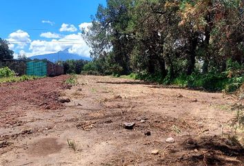 Lote de Terreno en  Pueblo Amaxac De Guerrero