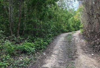 Lote de Terreno en  Puerto Aventuras, Solidaridad, Quintana Roo