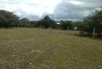 Lote de Terreno en  Zona Industrial Industrial La Capilla, León