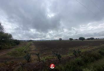 Lote de Terreno en  San Marcos, Guerrero