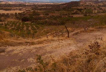 Lote de Terreno en  Rancho O Rancheria Catama, Calvillo