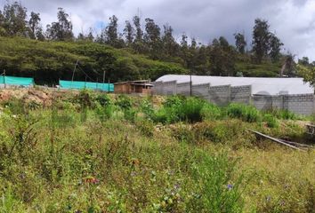 Terreno Comercial en  Nayón, Quito