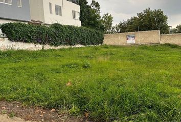 Lote de Terreno en  Nuevo México, Zapopan, Jalisco