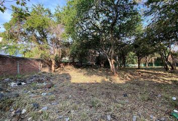 Lote de Terreno en  Centro Jiutepec, Jiutepec, Morelos