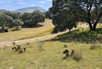 Lote de Terreno en  Cuautinchán, Puebla