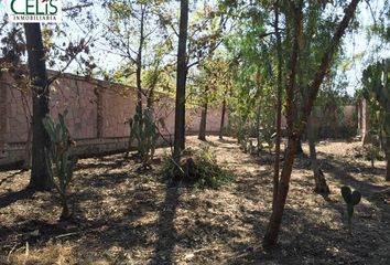 Lote de Terreno en  San Juan, Santa María Del Río