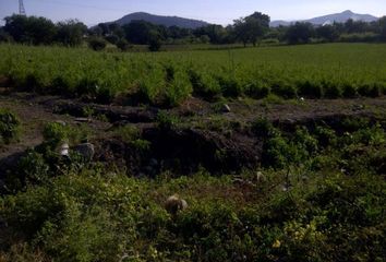 Lote de Terreno en  Miguel Hidalgo, Morelos