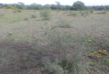 Lote de Terreno en  Panuco Centro, Pánuco, Veracruz