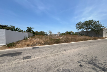 Lote de Terreno en  Calle Ninguno, Dzitya, Mérida, Yucatán, 97302, Mex