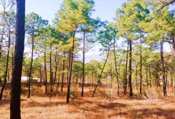 Lote de Terreno en  Avenida Del Sol, La Campiña, Fraccionamiento Ecológico La Campiña, Morelia, Michoacán De Ocampo, 58341, Mex