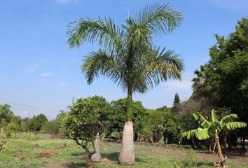 Lote de Terreno en  Miguel Hidalgo, Morelos