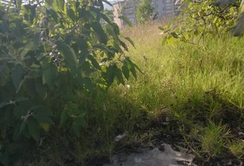 Lote de Terreno en  Lomas Anáhuac, Huixquilucan