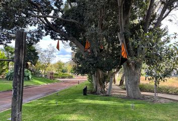 Lote de Terreno en  Revolución, Atlixco