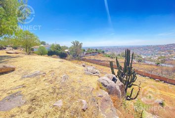 Lote de Terreno en  Rancho O Rancheria Salto De León, Coroneo